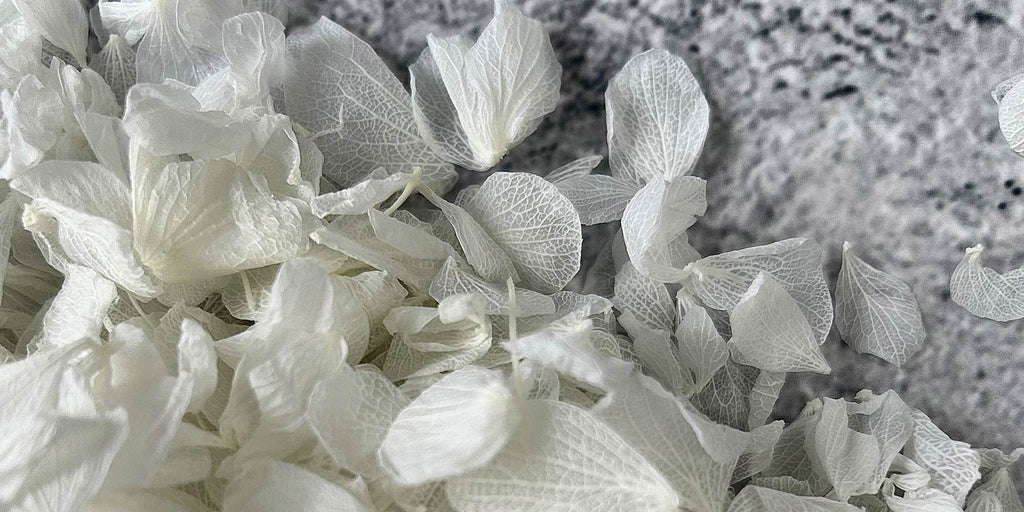 Pure White Confetti Petals - Confetti Bee