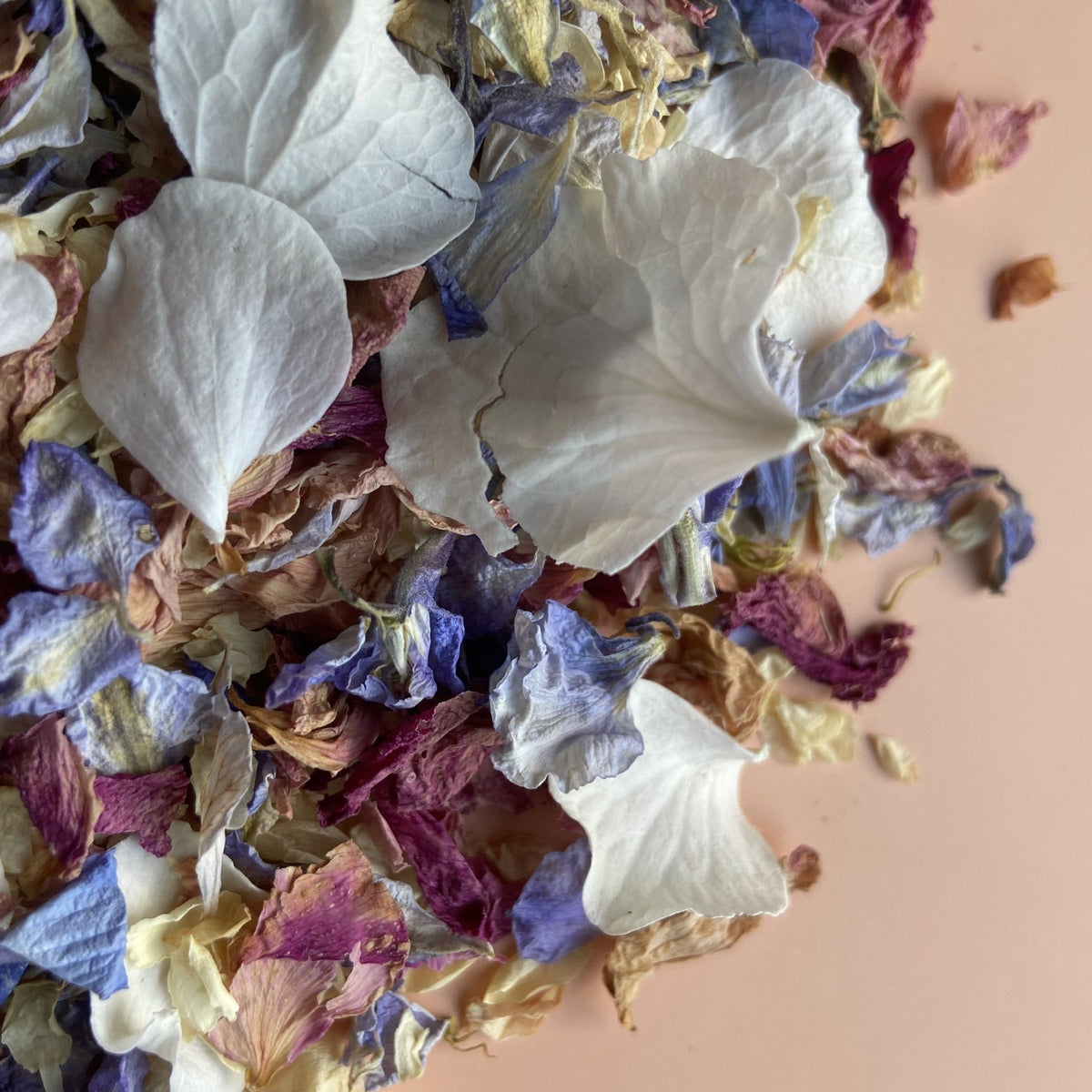 Vintage Fairytale Confetti Petal Wedding Confetti Confetti Bee