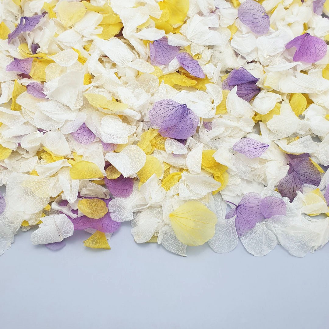 Confetti: A Celebration Staple From Ancient Rituals to Eco-Friendly Re ...