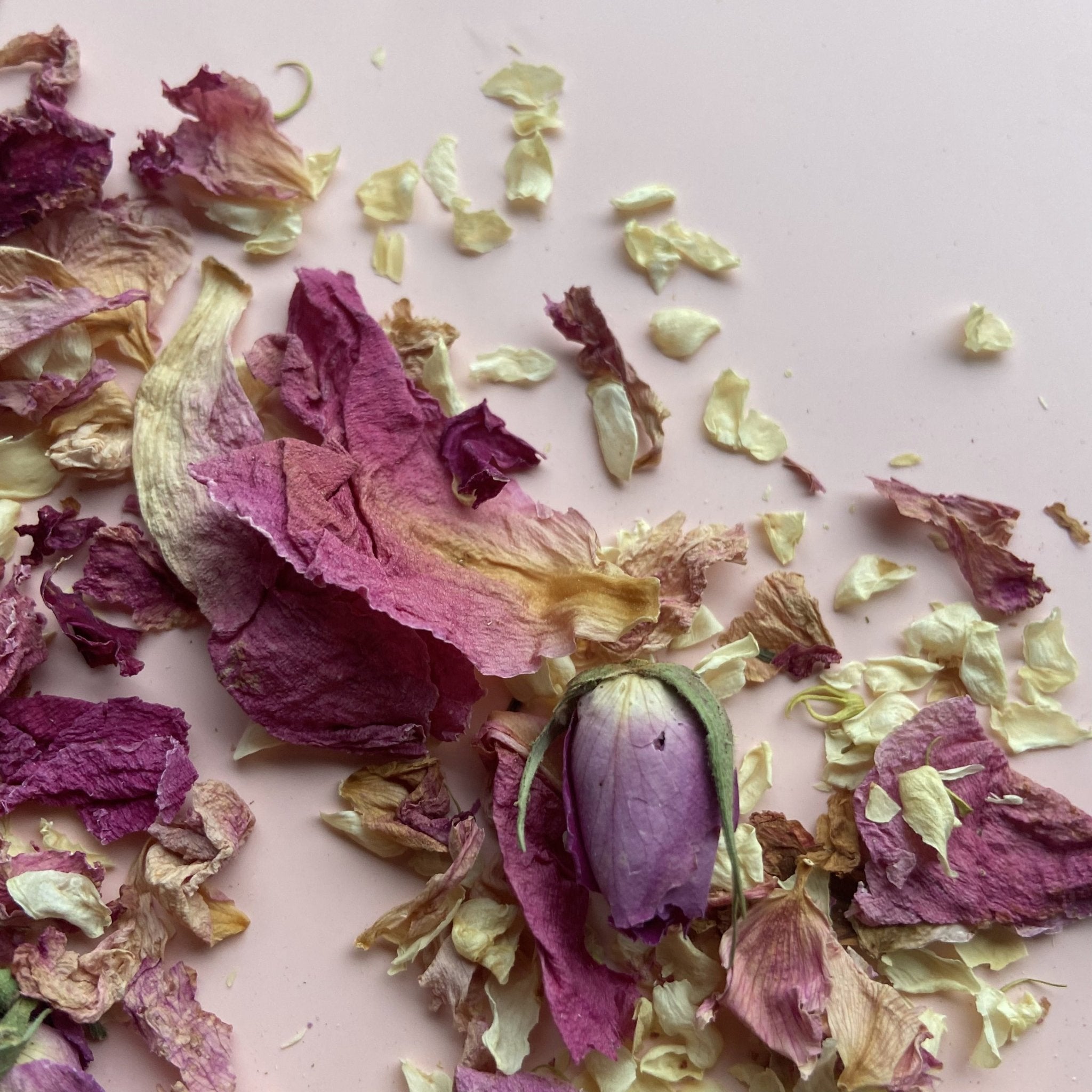 Dried natural petal confetti or biodegradable paper confetti