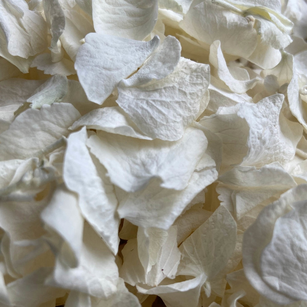 How do you freeze dry petals for wedding confetti? - Confetti Bee