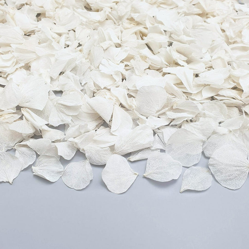 Why we love white confetti for weddings in 2024 - Confetti Bee