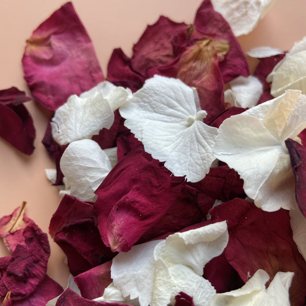 A few of our favourites - Confetti Bee