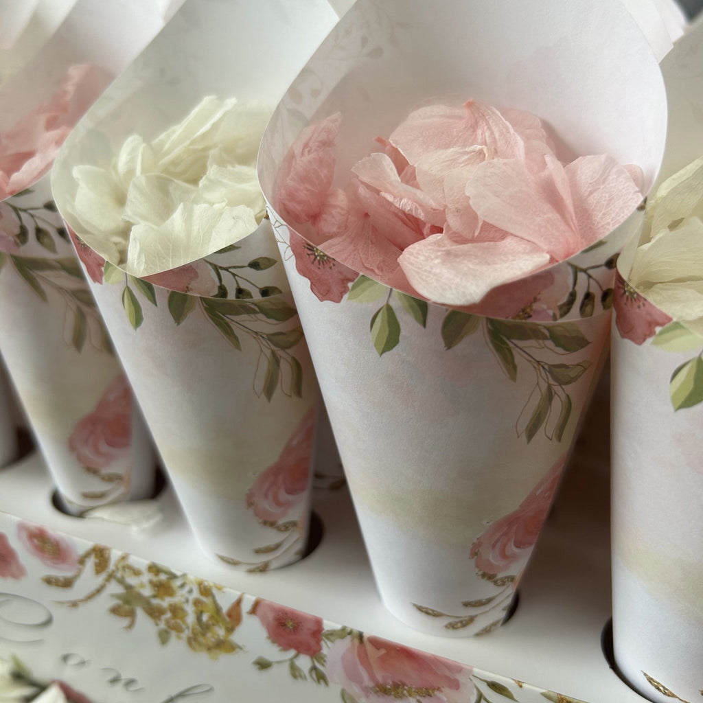 Confetti Cones & Holders - Confetti Bee