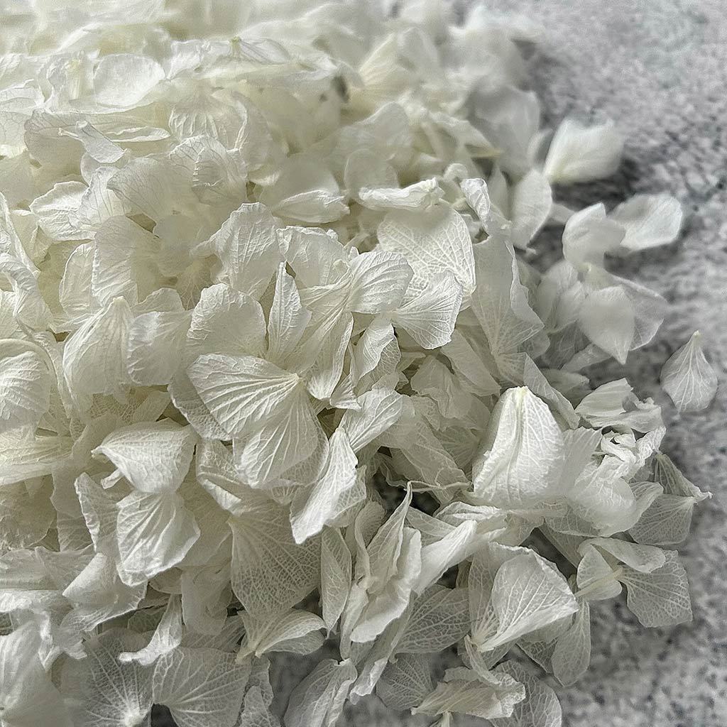 Pure White Confetti Petals - Confetti Bee