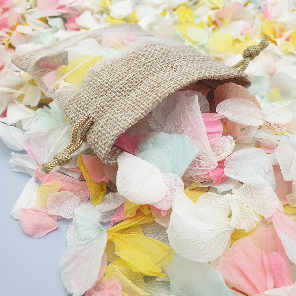 A Summer's Day Confetti - Confetti Bee