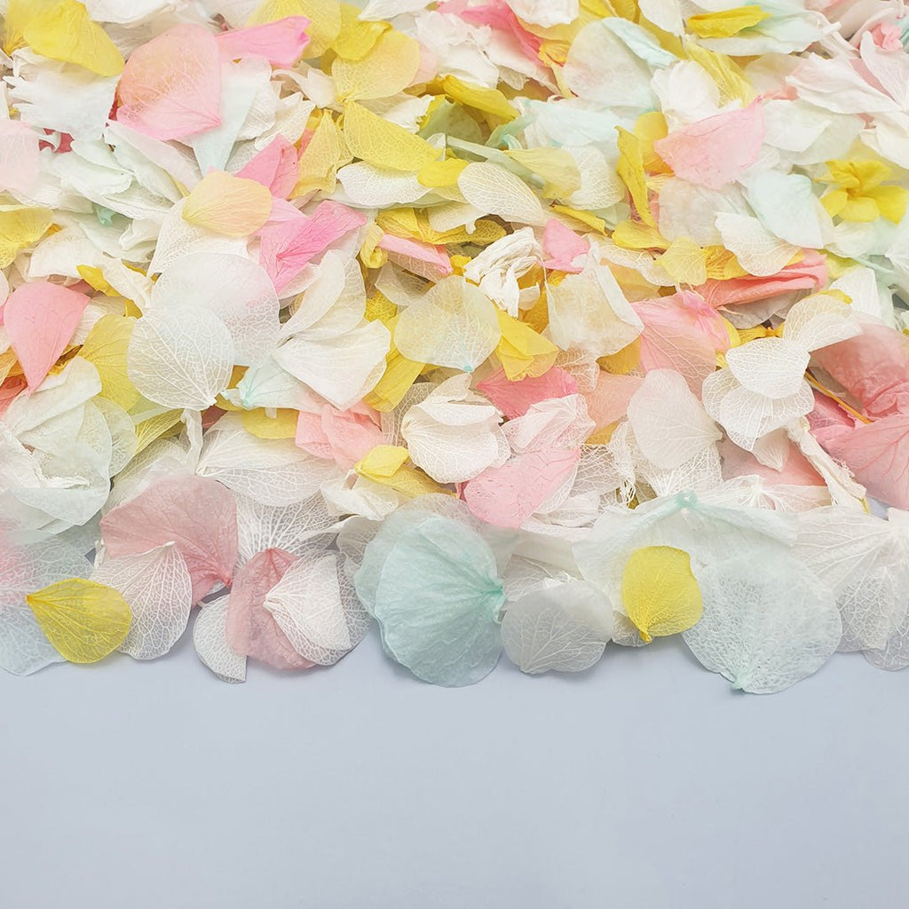 A Summer's Day Confetti - Confetti Bee