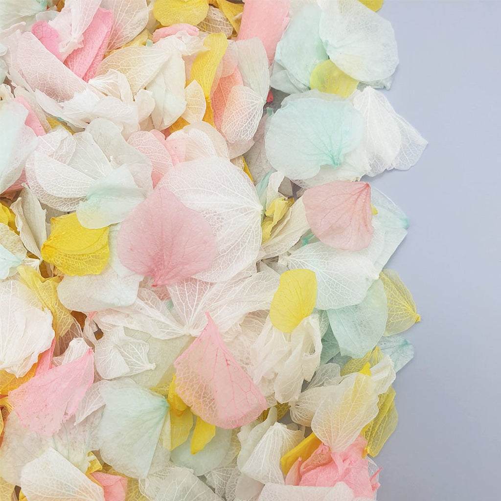 A Summer's Day Confetti - Confetti Bee