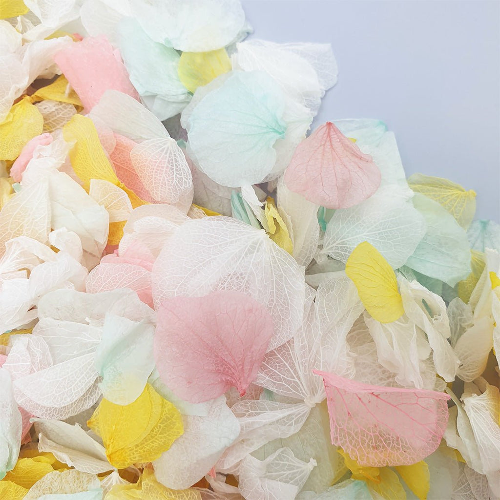 A Summer's Day Confetti - Confetti Bee