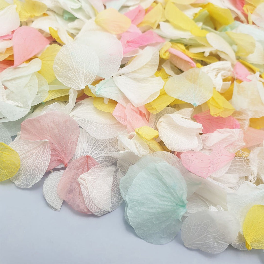 A Summer's Day Confetti - Confetti Bee