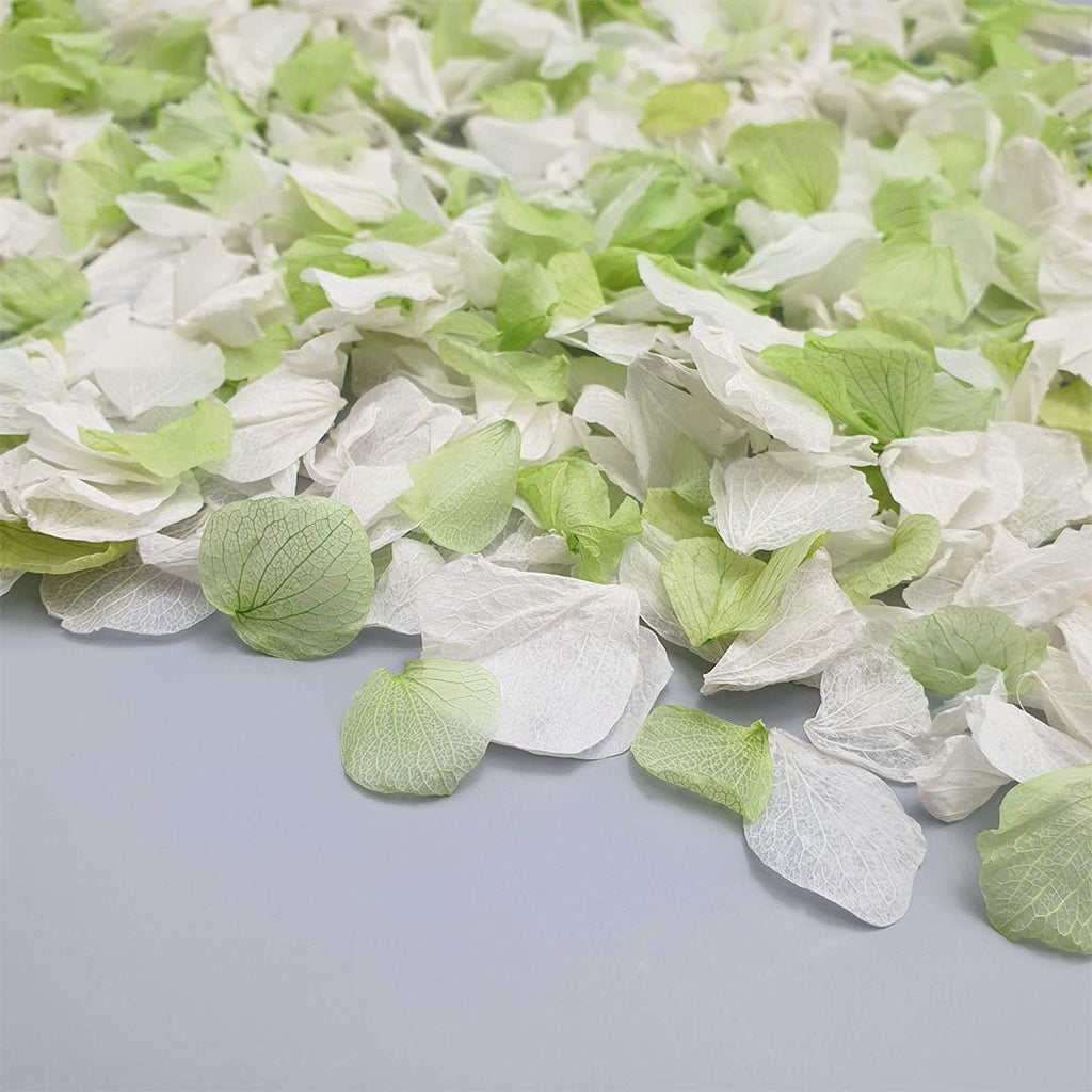 Apple Blossom Confetti - Confetti Bee