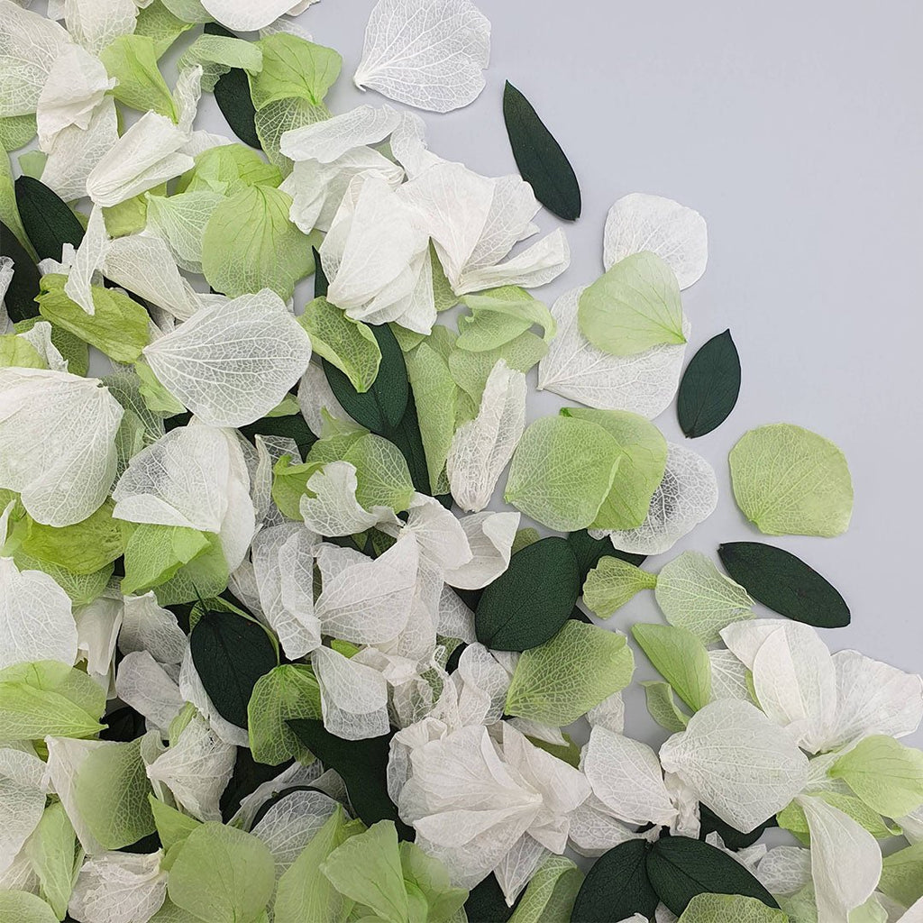 Apple Mint Confetti - Confetti Bee