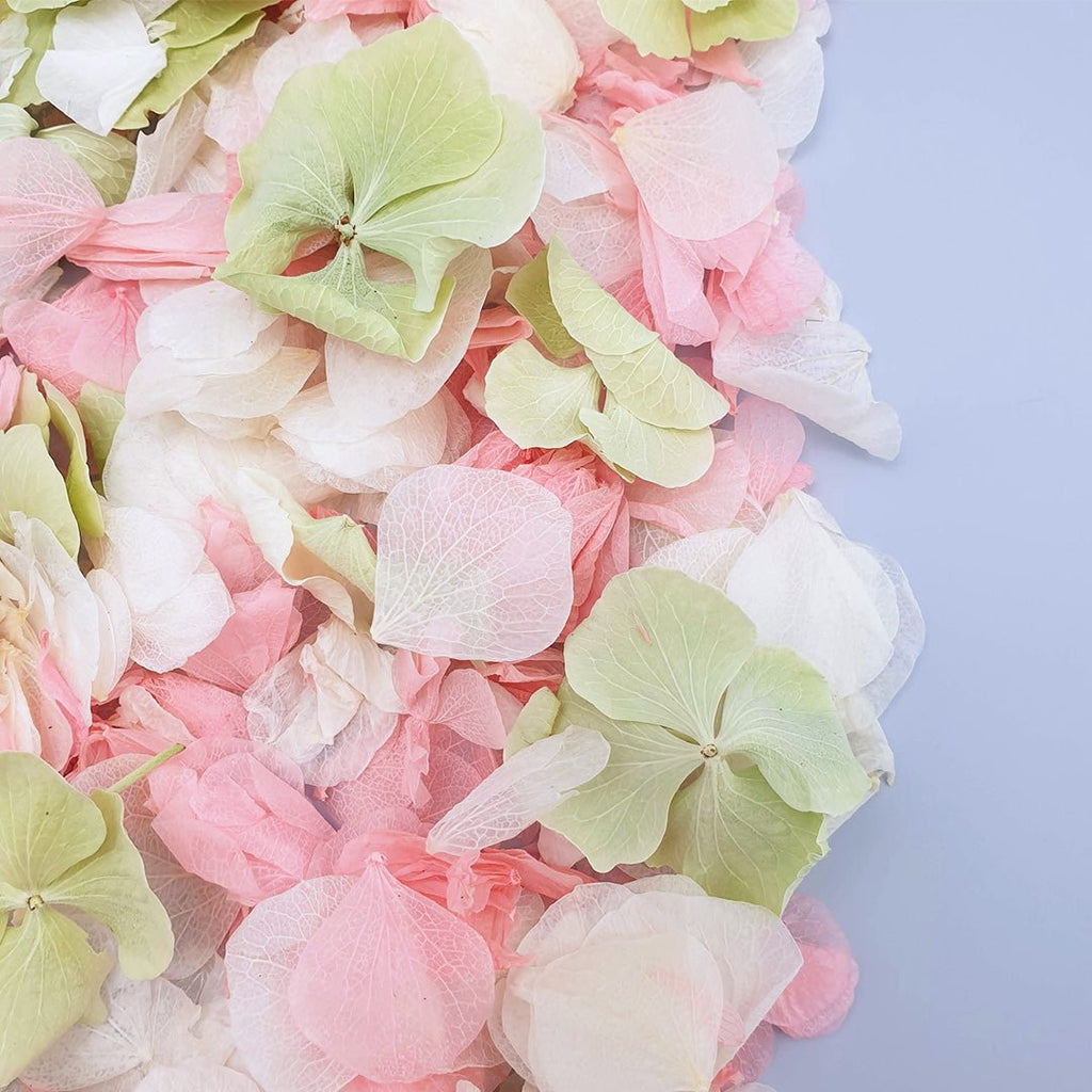 Apple Rose Confetti - Confetti Bee