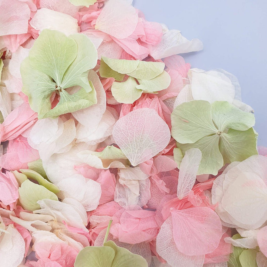Apple Rose Confetti - Confetti Bee