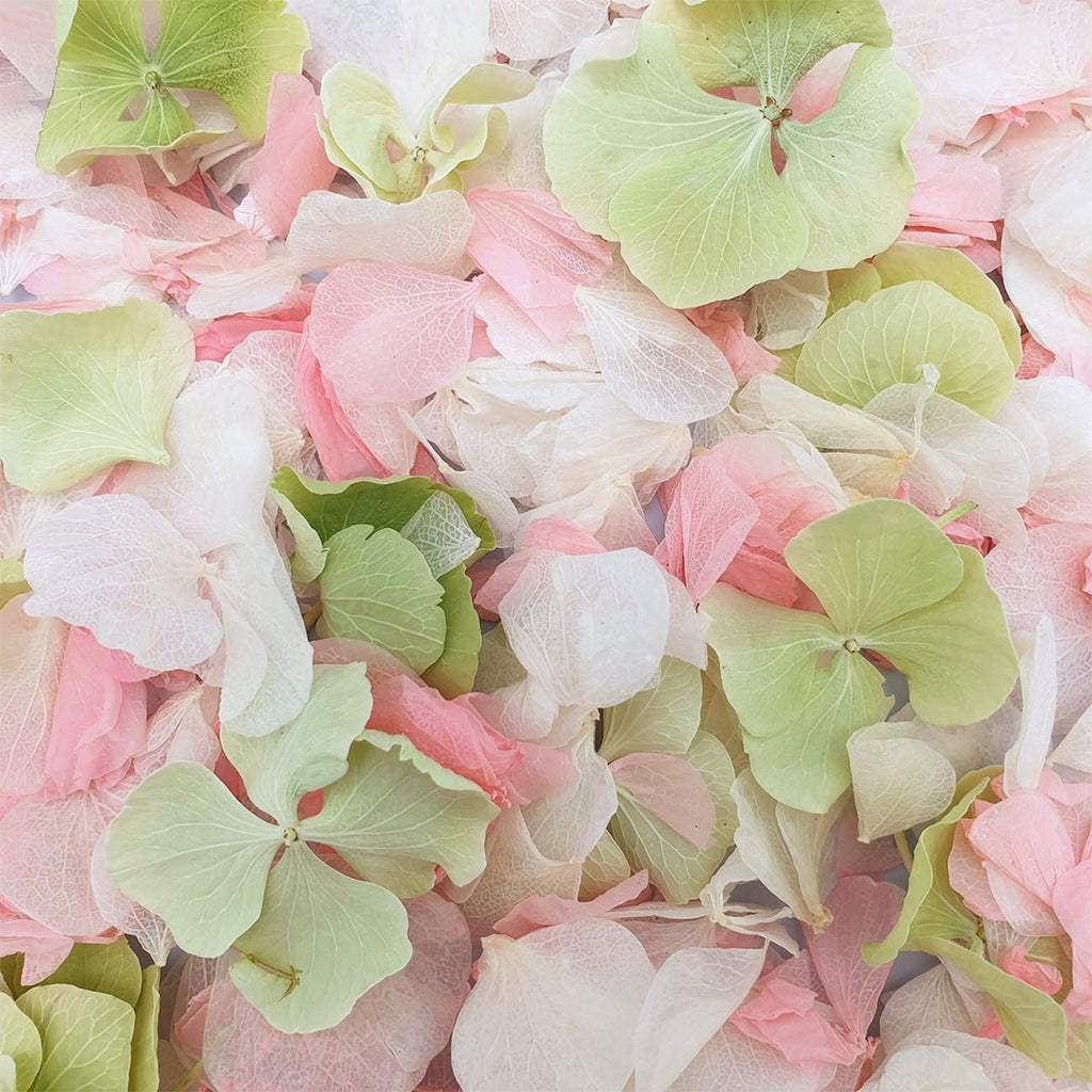 Apple Rose Confetti - Confetti Bee