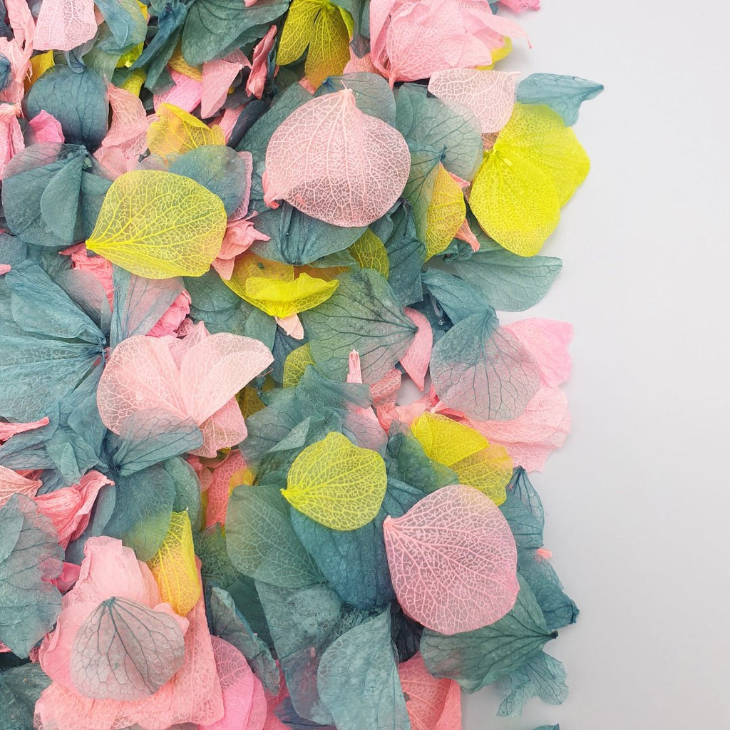 Aurora Confetti - Confetti Bee