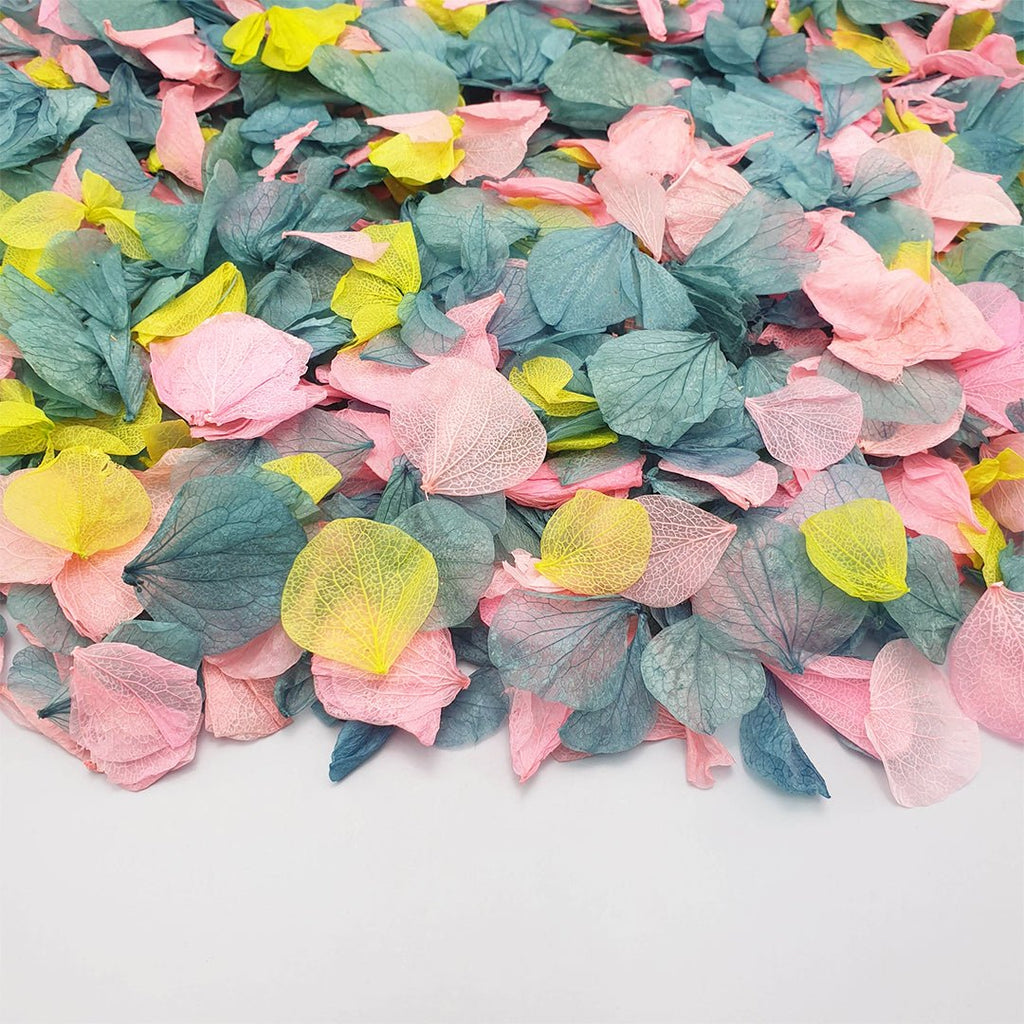 Aurora Confetti - Confetti Bee