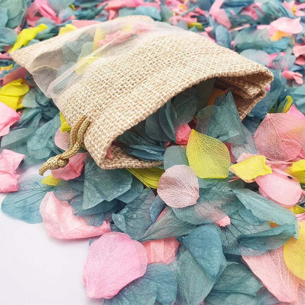 Aurora Confetti - Confetti Bee