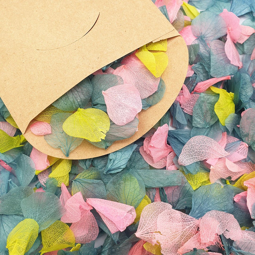 Aurora Confetti - Confetti Bee
