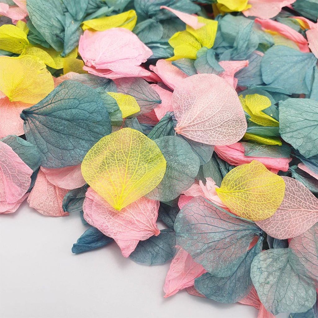 Aurora Confetti - Confetti Bee