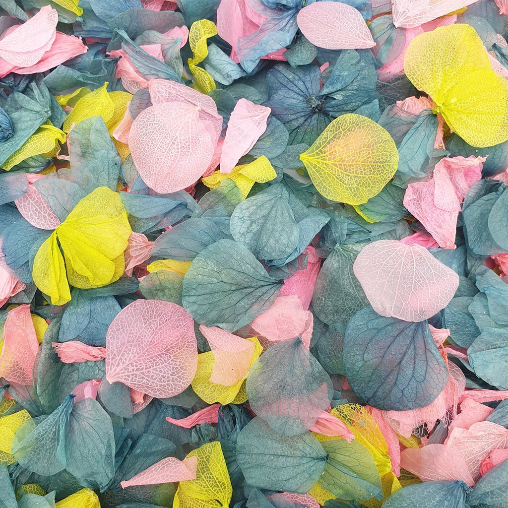 Aurora Confetti - Confetti Bee