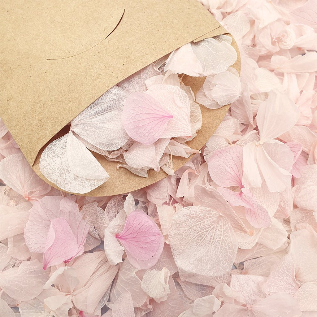 Blossom Pink Hydrangea Petals - Limited Edition - Confetti Bee