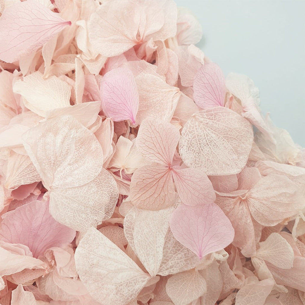 Blossom Pink Hydrangea Petals - Limited Edition - Confetti Bee