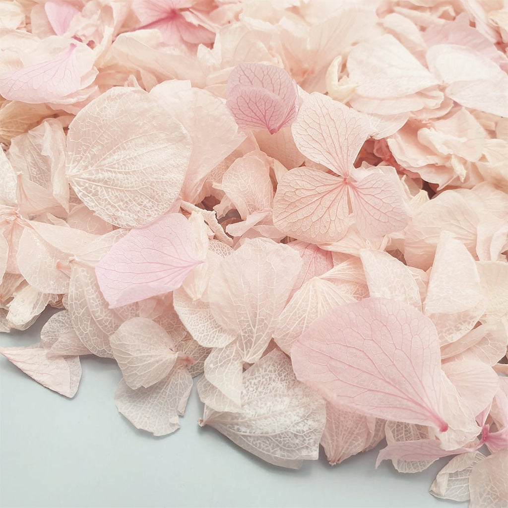 Blossom Pink Hydrangea Petals - Limited Edition - Confetti Bee