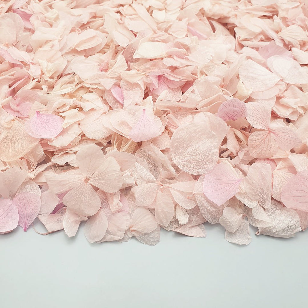 Blossom Pink Hydrangea Petals - Limited Edition - Confetti Bee