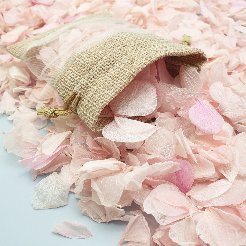 Blossom Pink Hydrangea Petals - Limited Edition - Confetti Bee