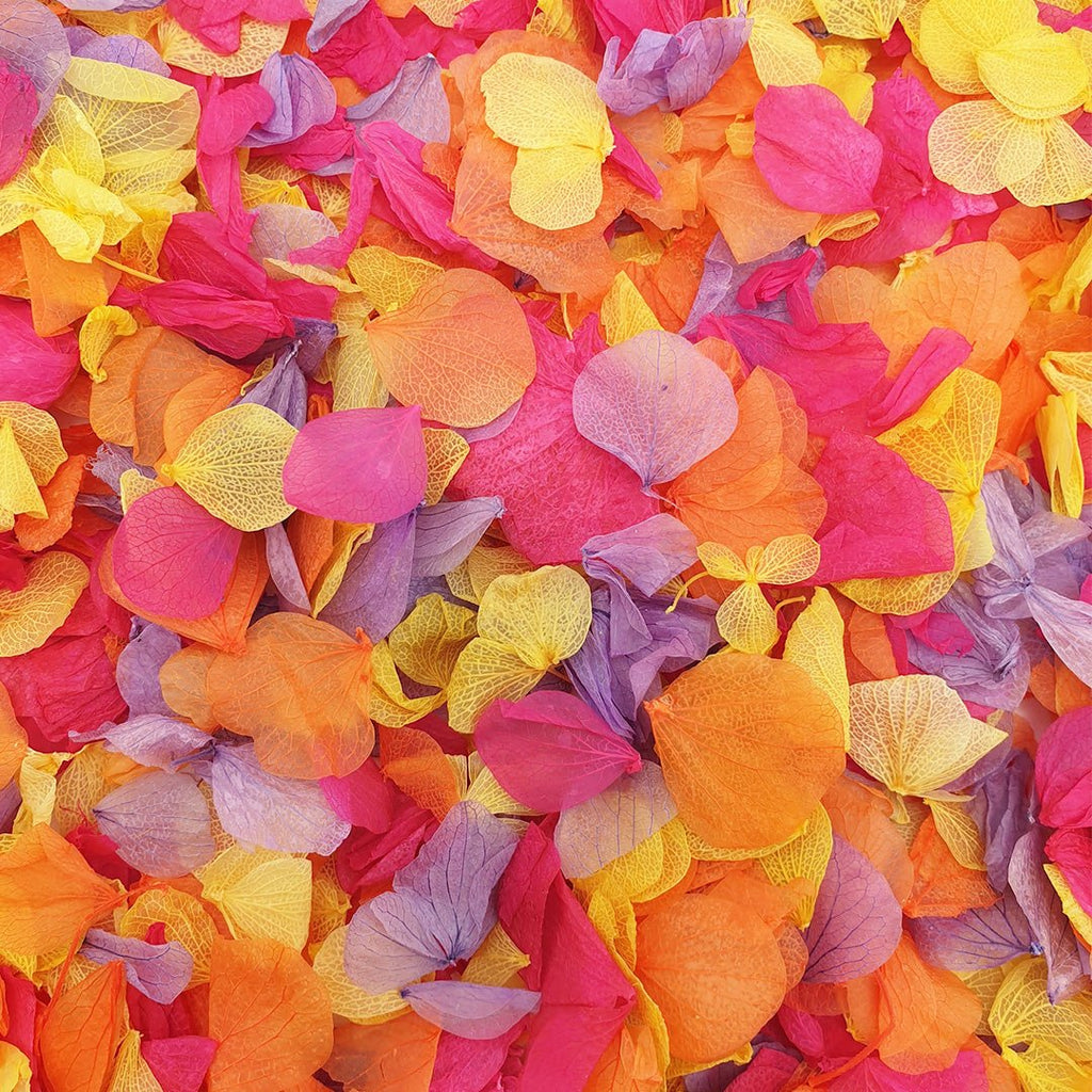 Normal Confetti Carnival Confetti | Wedding Confetti | Confetti Bee