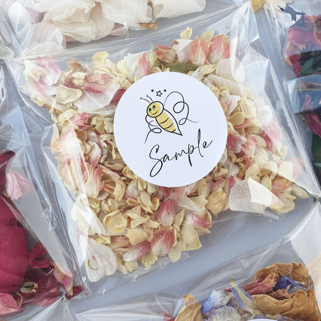 Confetti Sample - Confetti Bee