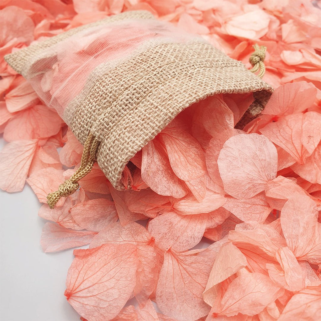 Coral Hydrangea Petals - Limited Edition - Confetti Bee