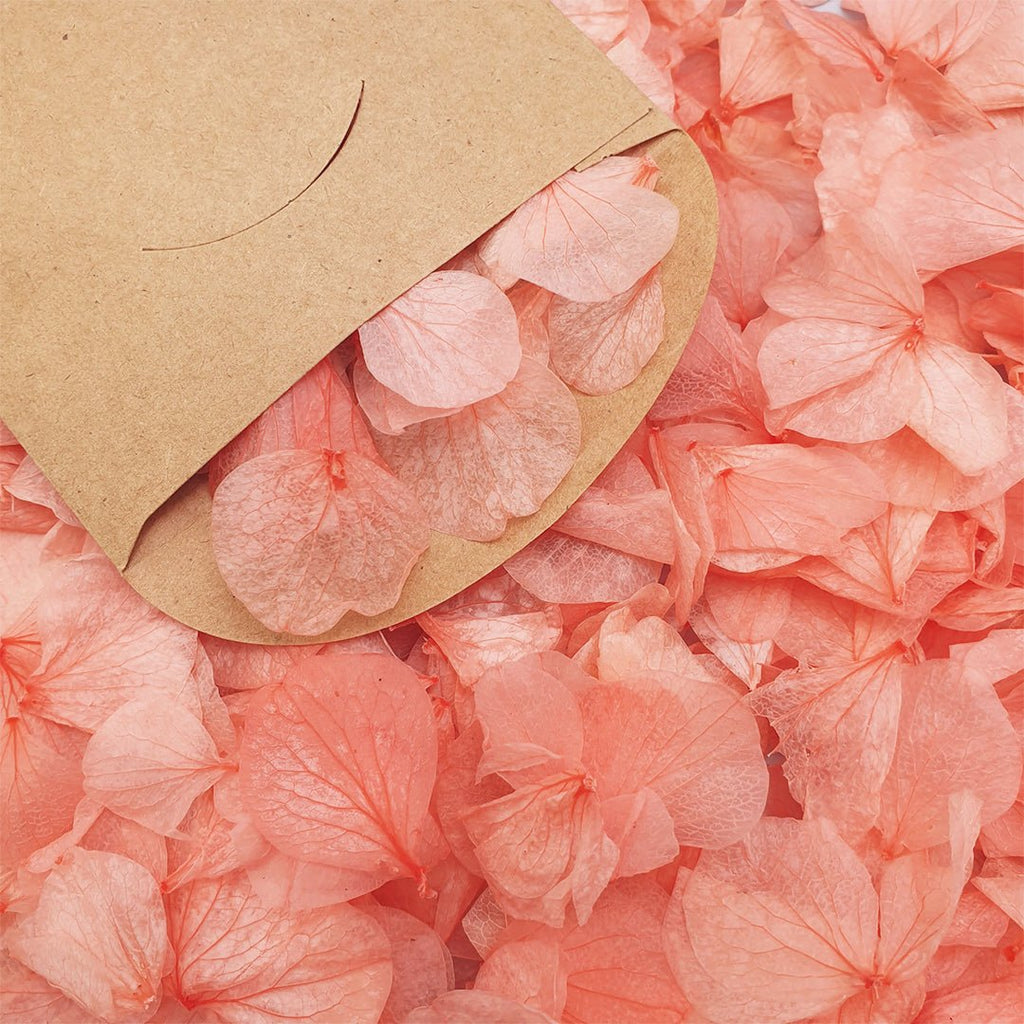 Coral Hydrangea Petals - Limited Edition - Confetti Bee