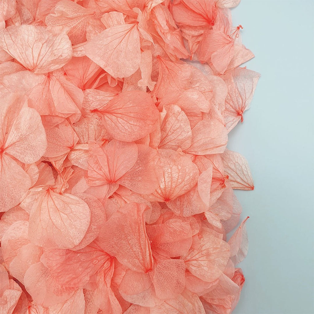 Coral Hydrangea Petals - Limited Edition - Confetti Bee