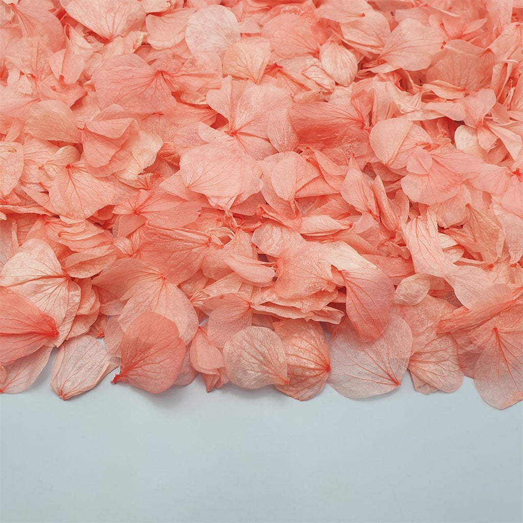 Coral Hydrangea Petals - Limited Edition - Confetti Bee