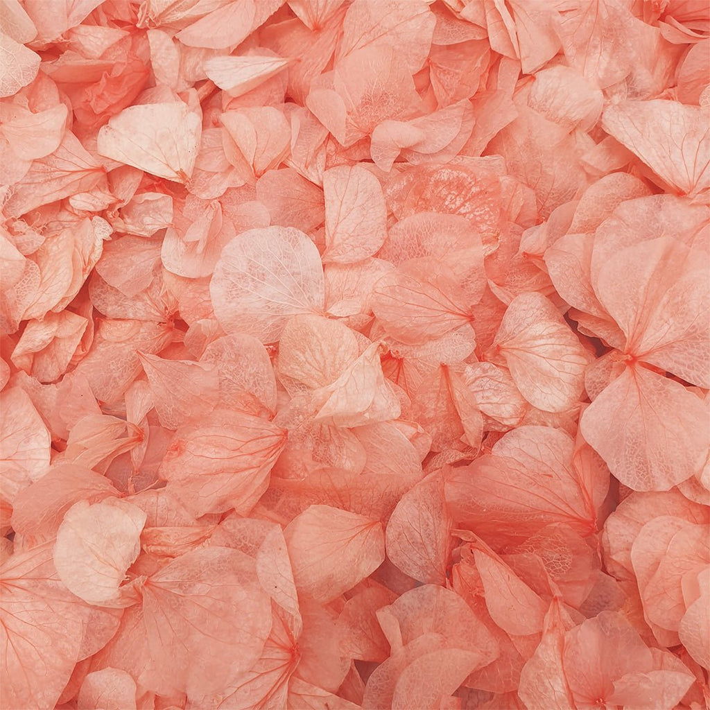 Coral Hydrangea Petals - Limited Edition - Confetti Bee