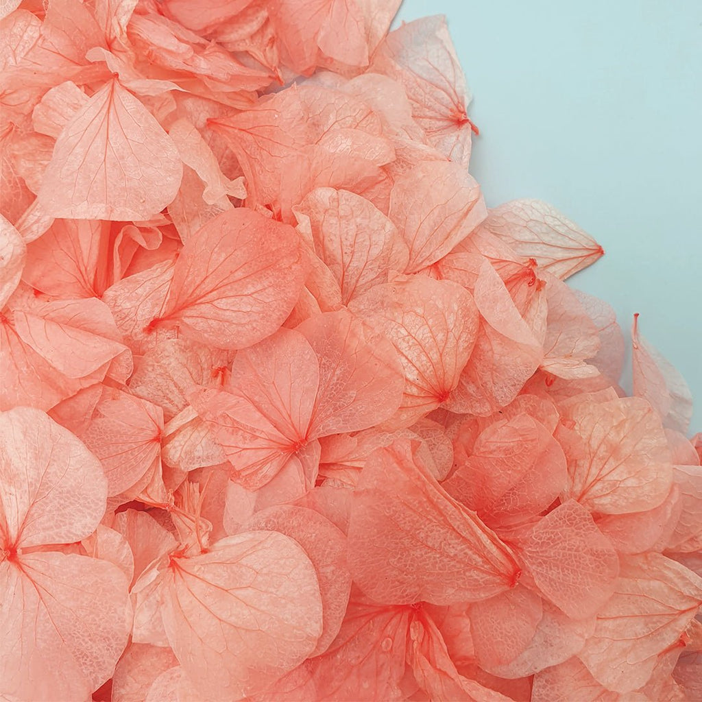 Coral Hydrangea Petals - Limited Edition - Confetti Bee