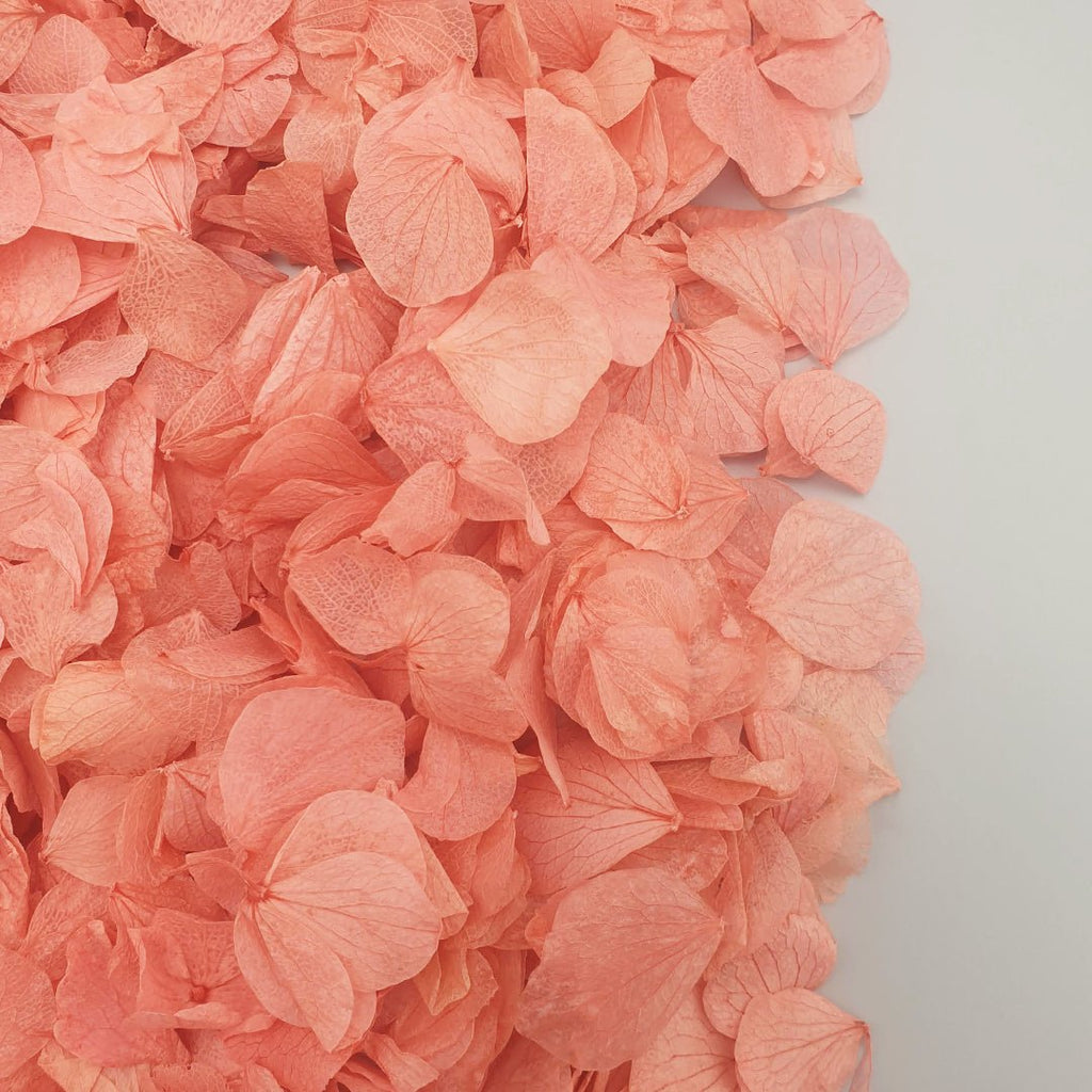 Dark Pink Hydrangea Petals - Confetti Bee