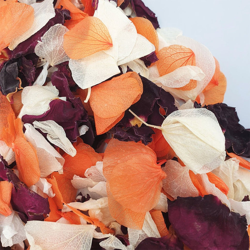 Fireglow Confetti - Confetti Bee