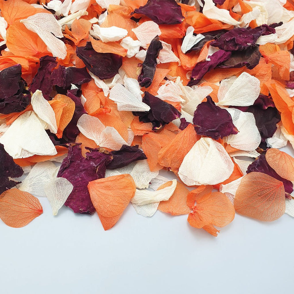 Fireglow Confetti - Confetti Bee