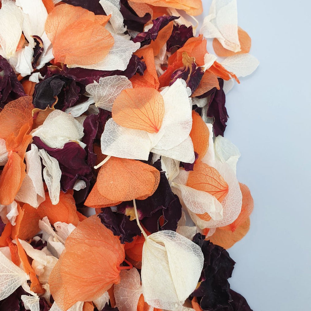 Fireglow Confetti - Confetti Bee