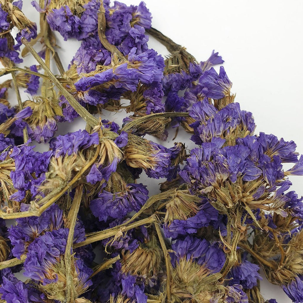 Forget Me Nots - Confetti Bee