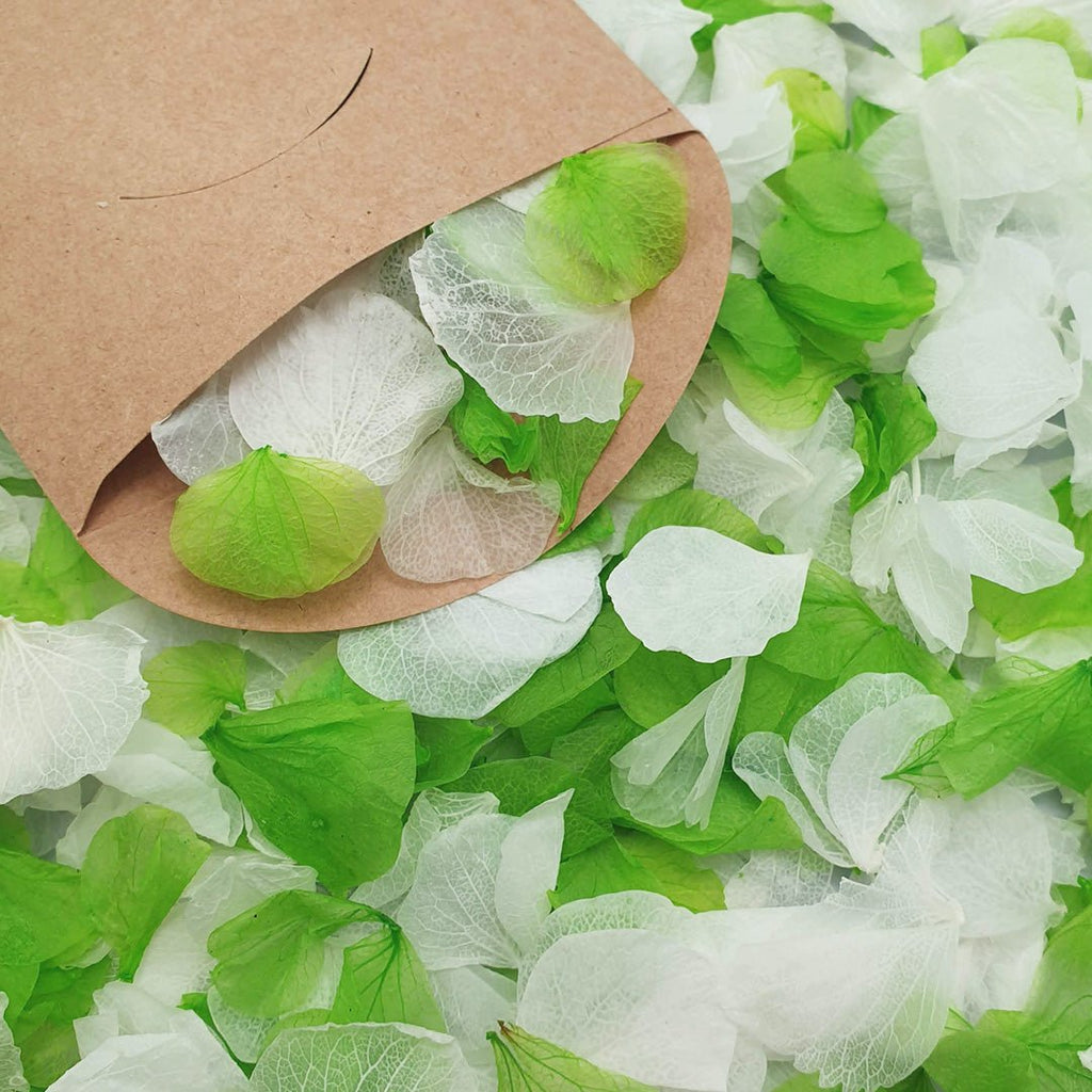 Limelight Confetti - Confetti Bee