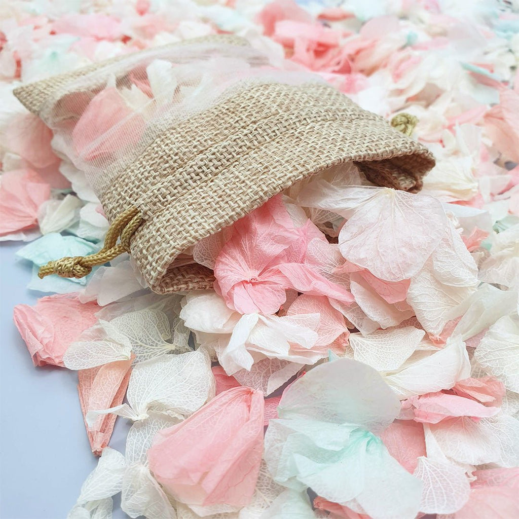 Lisa Confetti - Confetti Bee