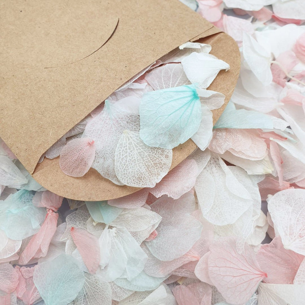 Lisa Confetti - Confetti Bee