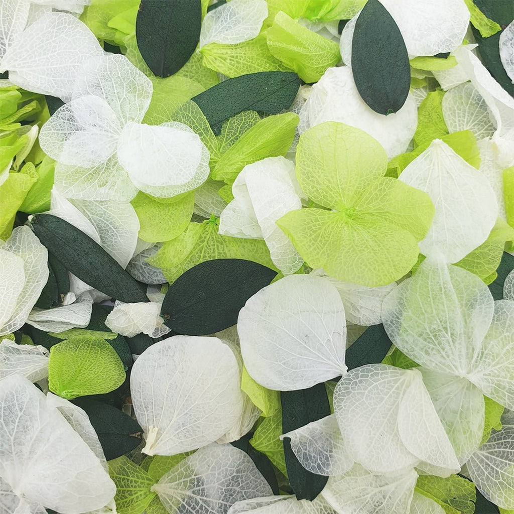 Mojito Confetti - Confetti Bee