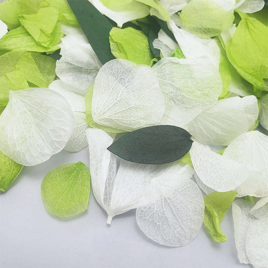 Mojito Confetti - Confetti Bee