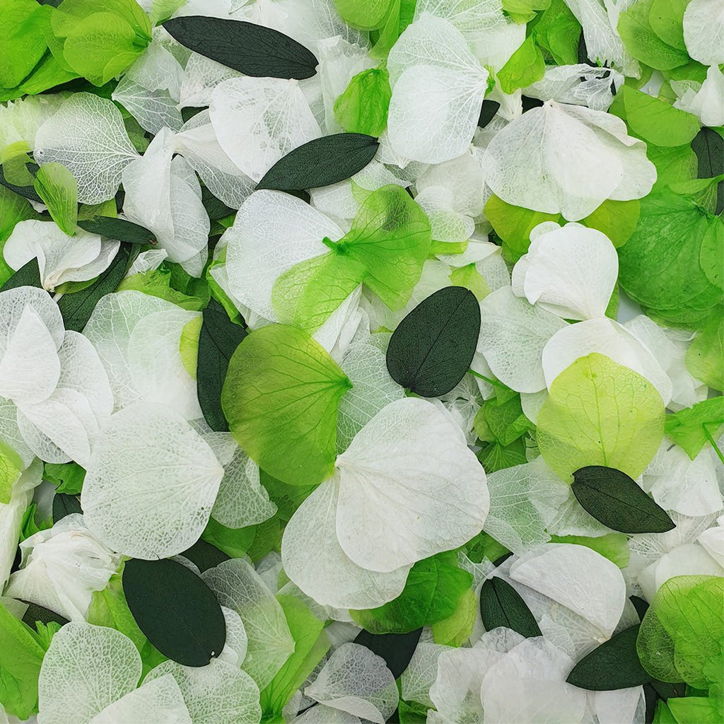Mojito Confetti - Confetti Bee