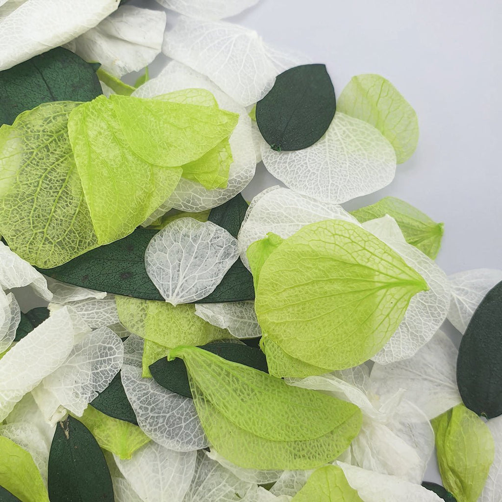 Mojito Confetti - Confetti Bee